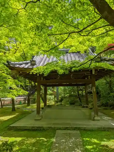 禅林寺（永観堂）(京都府)