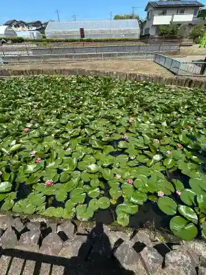出世弁財天女宮(東京都)