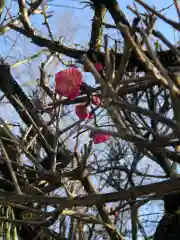 大生郷天満宮の自然