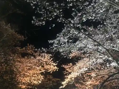 木舟山　順教寺の自然