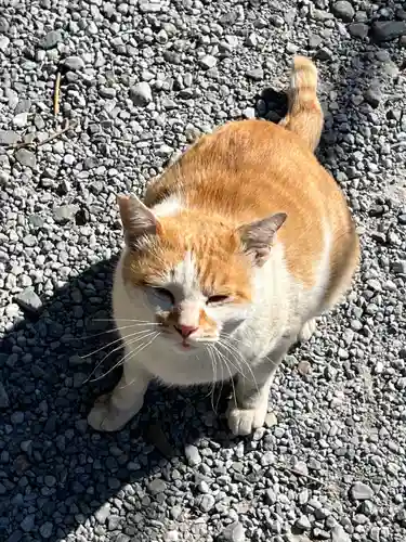 佐野赤城神社(栃木県)