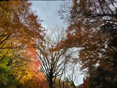 延命寺(大阪府)