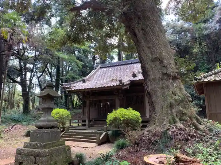 第六神社の本殿・本堂