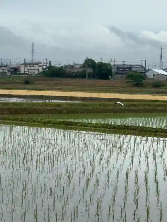 高繁大明神(稲荷)(兵庫県)
