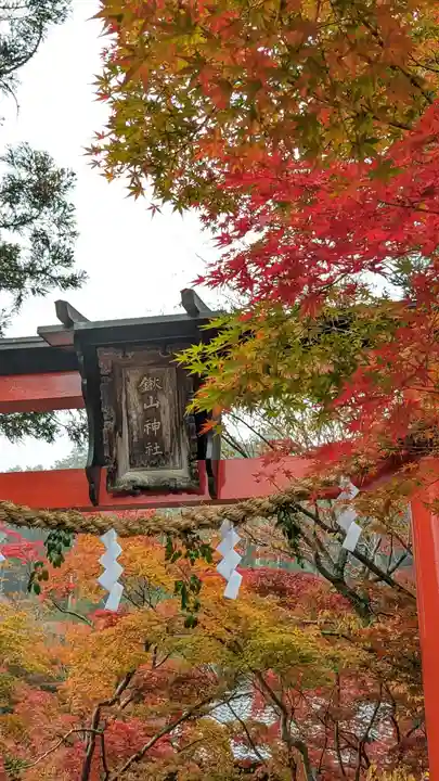 鍬山神社(京都府)