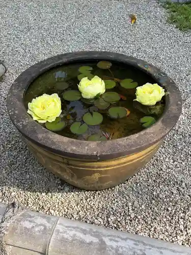 長泉院(埼玉県)