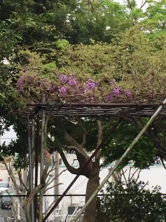 比佐豆知神社の自然