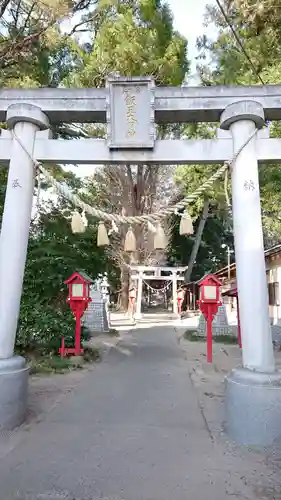 開運招福 飯玉神社の鳥居