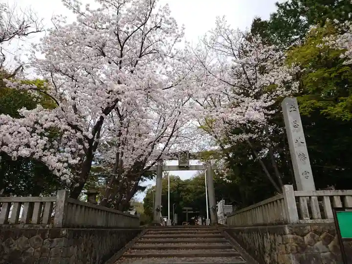 土呂八幡宮の自然