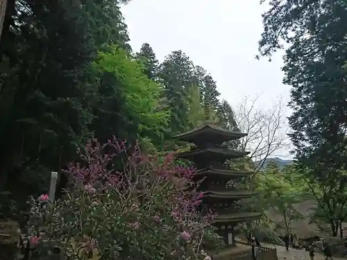 室生寺の塔