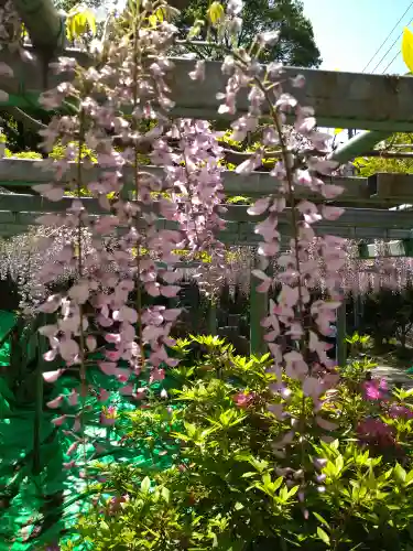 阿智神社(岡山県)