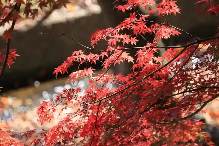 田村神社の庭園