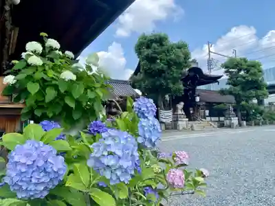 六孫王神社(京都府)