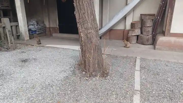 小野照崎神社(東京都)