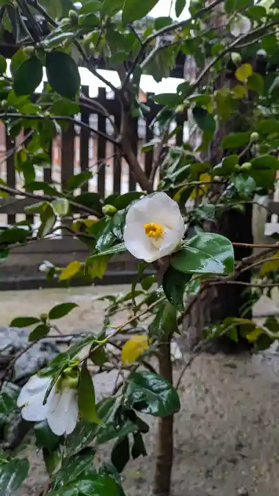 城南宮(京都府)