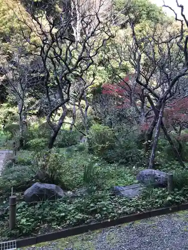 瑞泉寺の自然