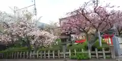 六孫王神社(京都府)