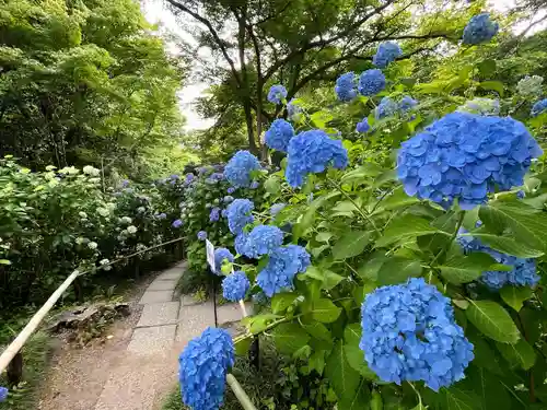 念佛院(奈良県)