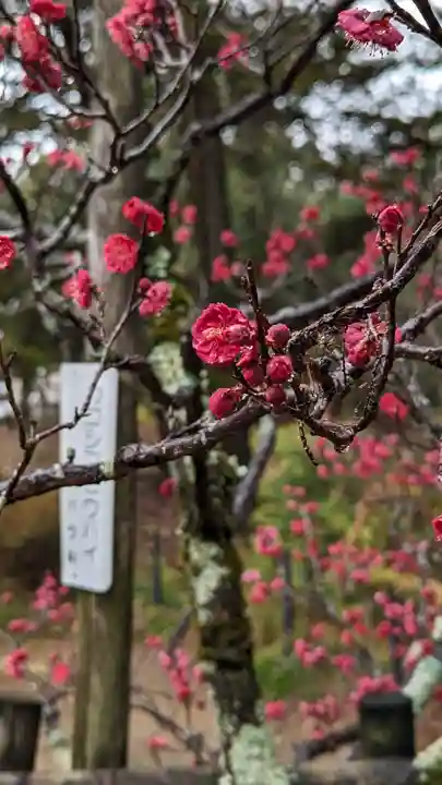 長岡天満宮(京都府)