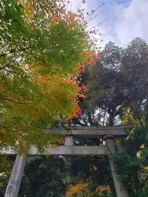 赤坂氷川神社(東京都)
