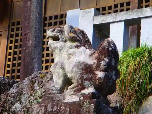 照日神社の狛犬