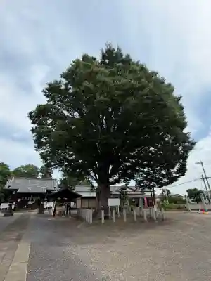 小泉神社(群馬県)