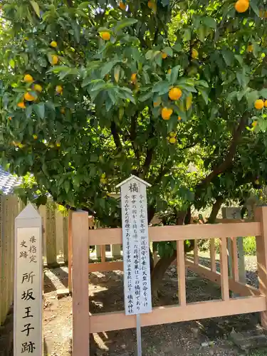橘本神社のその他建物