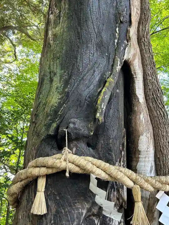 常陸國總社宮(茨城県)