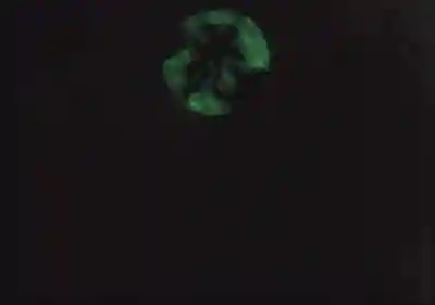 光丸山 法輪寺(栃木県)