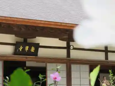 龍潭寺の本殿・本堂