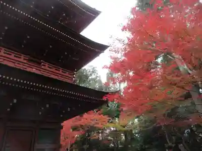 柏原八幡宮(兵庫県)