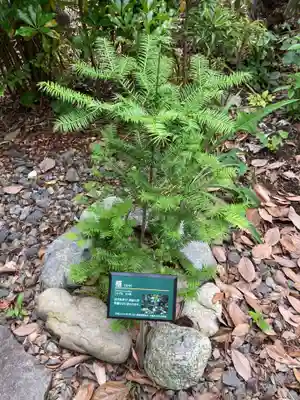 総持院(神奈川県)