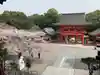 近江神宮の景色