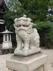 荒井神社の狛犬