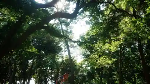 尾張猿田彦神社の景色