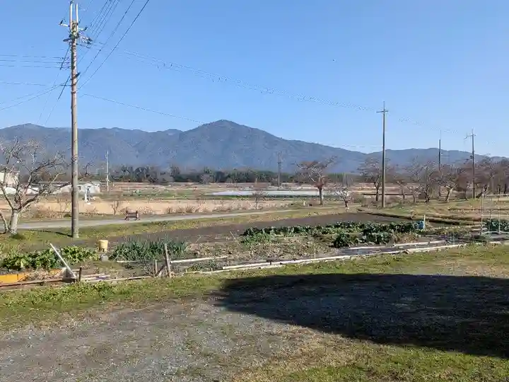大井神社(京都府)