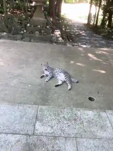 玉野御嶽神社の動物