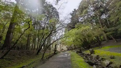醍醐寺(京都府)