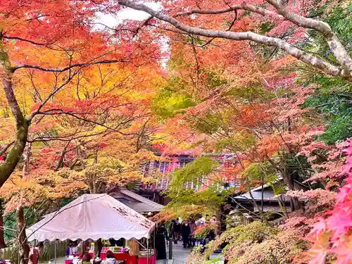 永源寺(滋賀県)