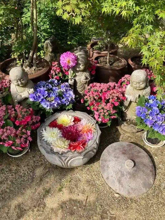 岡寺(龍蓋寺)(奈良県)