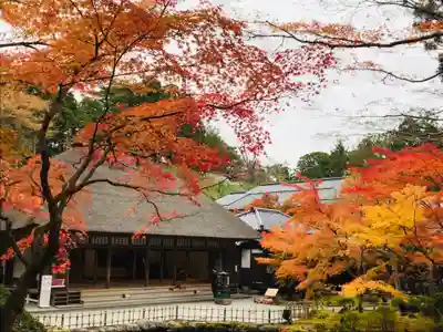 円通院の本殿・本堂