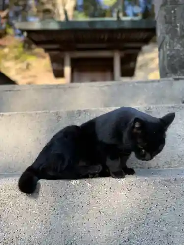 上岩出神社の{uncategorized: "未分類", other: "その他", undefined: "問題あり", building: "その他建物", grave: "お墓", sacred_gate: "鳥居", guardian: "狛犬", statue: "像", buddha: "仏像", history: "歴史", nature: "自然", garden: "庭園", animal: "動物", pagoda: "塔", temizu: "手水舎", mountain_gate: "山門・神門", sanctuary: "本殿・本堂", subordinate: "末社・摂社", art: "芸術", scenery: "景色", jizo: "地蔵", ema: "絵馬", goshuin: "御朱印", omikuji: "おみくじ", items: "授与品その他", amulet: "お守り", goshuincho: "御朱印帳", eats: "食事", festival: "お祭り", votive_dance: "神楽", shichigosan: "七五三参", wedding: "結婚式", experience: "体験その他", initially: "初詣", around: "周辺", anti_infection: "感染症対策"}