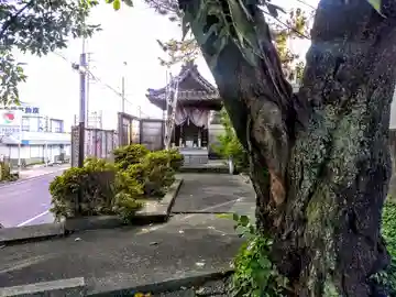 薬師堂の本殿・本堂