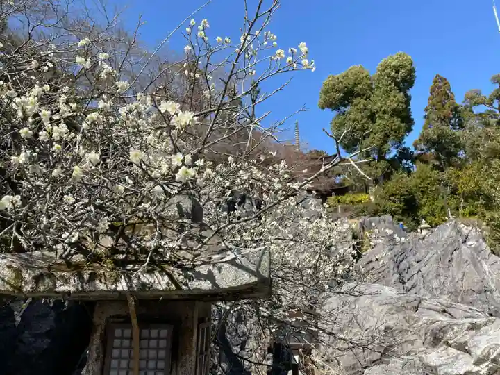 石山寺(滋賀県)