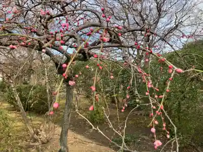 南養寺の{uncategorized: "未分類", other: "その他", undefined: "問題あり", building: "その他建物", grave: "お墓", sacred_gate: "鳥居", guardian: "狛犬", statue: "像", buddha: "仏像", history: "歴史", nature: "自然", garden: "庭園", animal: "動物", pagoda: "塔", temizu: "手水舎", mountain_gate: "山門・神門", sanctuary: "本殿・本堂", subordinate: "末社・摂社", art: "芸術", scenery: "景色", jizo: "地蔵", ema: "絵馬", goshuin: "御朱印", omikuji: "おみくじ", items: "授与品その他", amulet: "お守り", goshuincho: "御朱印帳", eats: "食事", festival: "お祭り", votive_dance: "神楽", shichigosan: "七五三参", wedding: "結婚式", experience: "体験その他", initially: "初詣", around: "周辺", anti_infection: "感染症対策"}