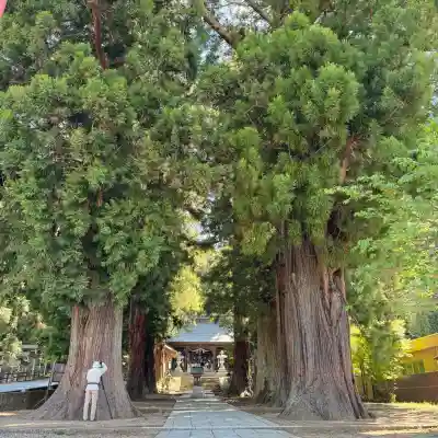 冨士御室浅間神社(山梨県)