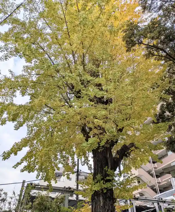 浅間神社(東京都)