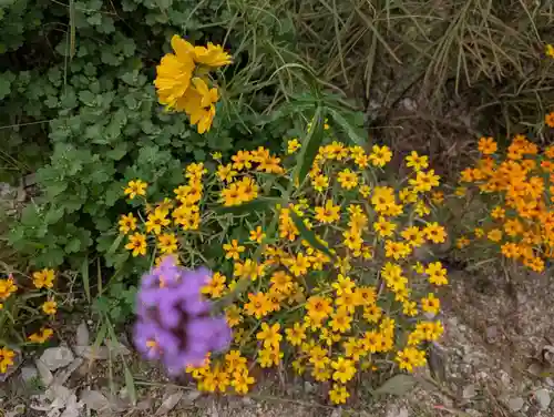 豊景神社(福島県)