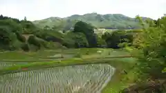 大杉神社(栃木県)