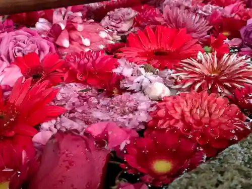 清洲山王宮　日吉神社の手水舎